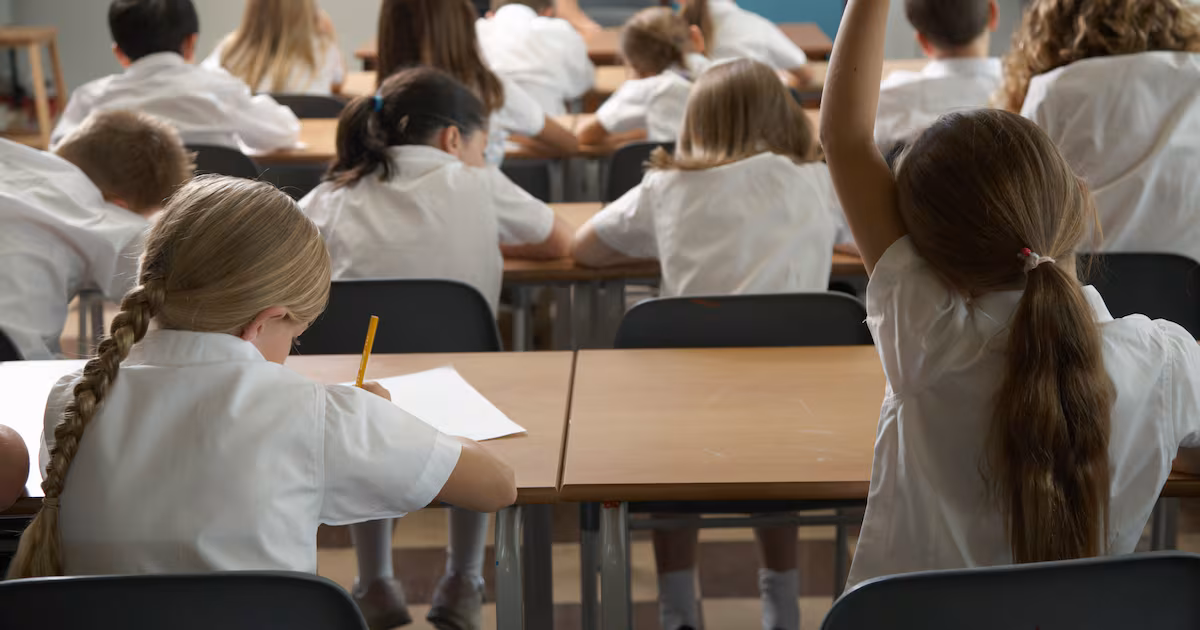 Ontario’s best - and worst - performing elementary schools ranked in new report. Where did your child’s school place? - CTV News