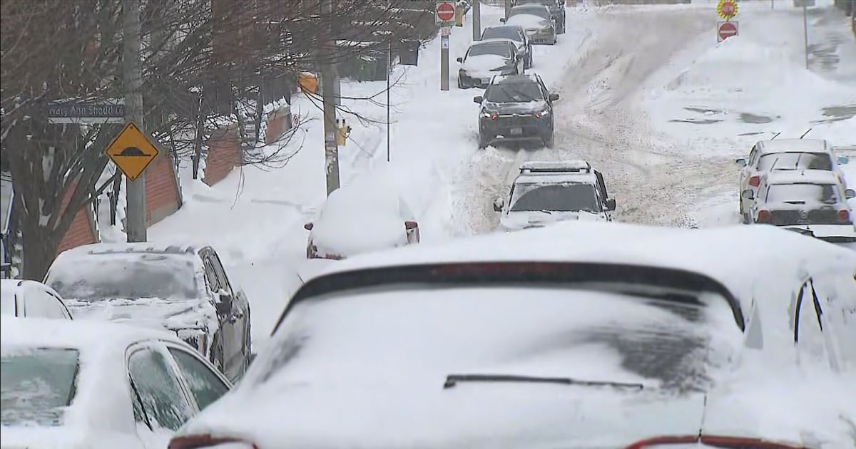 DVP closed as winter storm slams Toronto. Here is what commuters in the GTA should know - CTV News