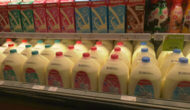 Manitoba government freezes the price of a litre of milk, eyes more price caps - CTV News