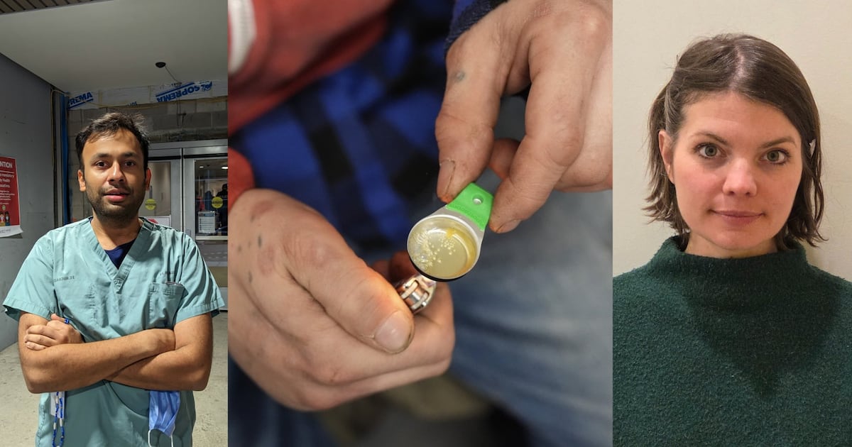 Why animal tranquilizers are taking over Toronto’s fentanyl supply - CTV News