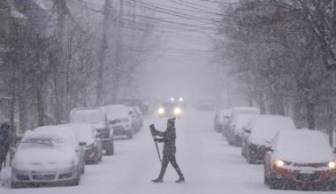 Much of the Maritimes now under a snowfall warning - CTV News