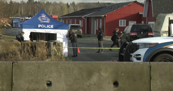 Another murder in the Lower Mainland brings total to 3 in 5 days - Global News