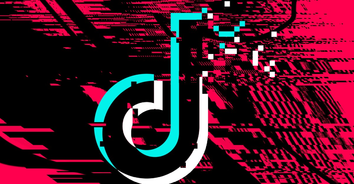 TikTok USA is broken | The Verge