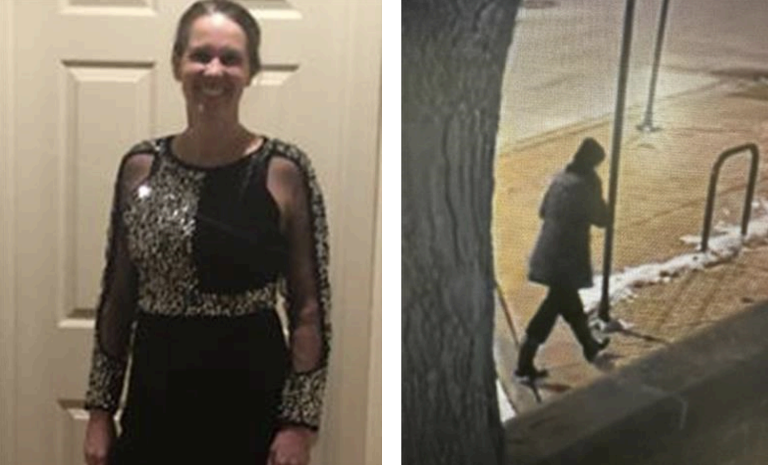 Body Of Missing Bronzeville Teacher Recovered From Lake Michigan, Officials Say