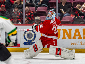 Soo Greyhounds goaltender Carter George scored his second career OHL goal to cap Sault Ste. Marie's 5-2 win over the London Knights on Wednesday, Jan. 21, 2026 at GFL Memorial Gardens. Photo by BOB DAVIES