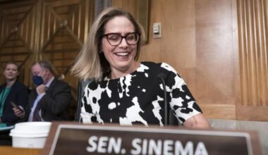 North Carolina woman sues former US Sen. Kyrsten Sinema over alleged affair :: WRAL.com