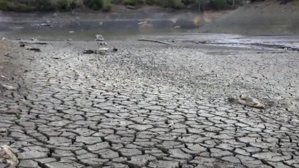 Click to play video: 'What was Canada’s top weather story of 2025?'