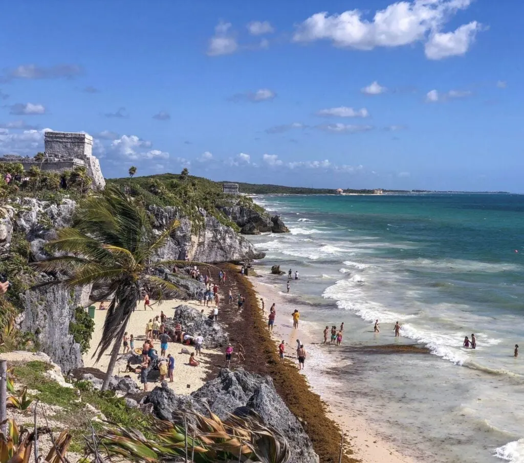 Tulum Sargassum