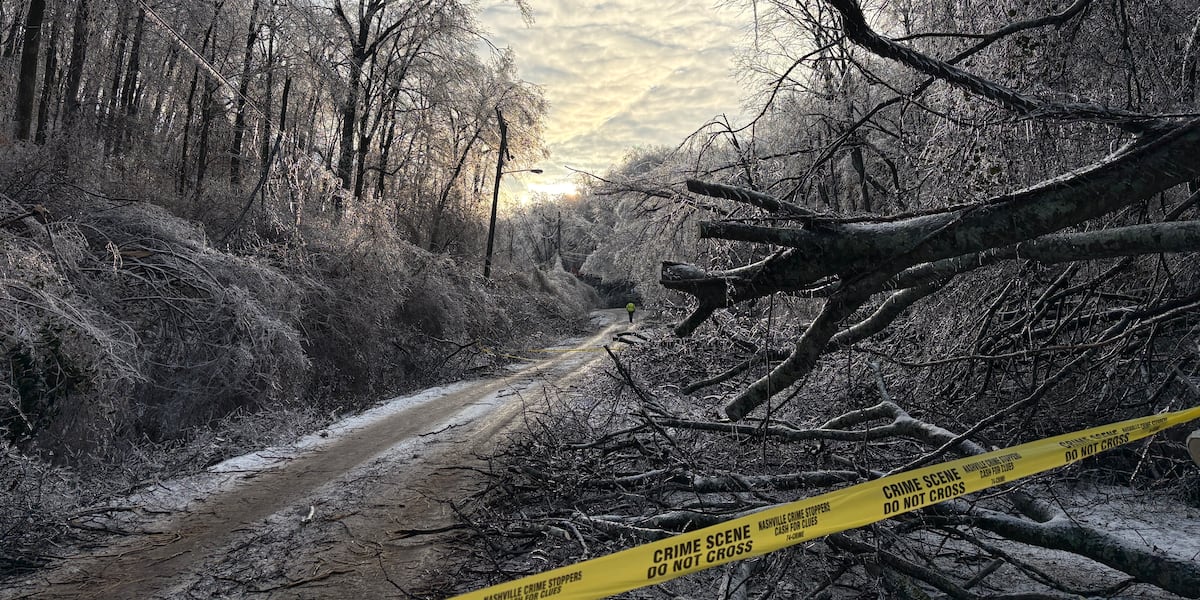 92-year-old man marks fourth suspected winter storm-related death in Davidson County
