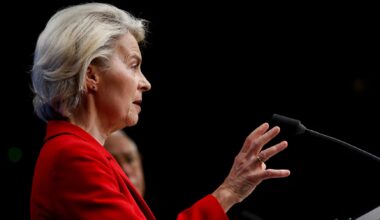 Greenland galvanizes Europe to confront new US reality