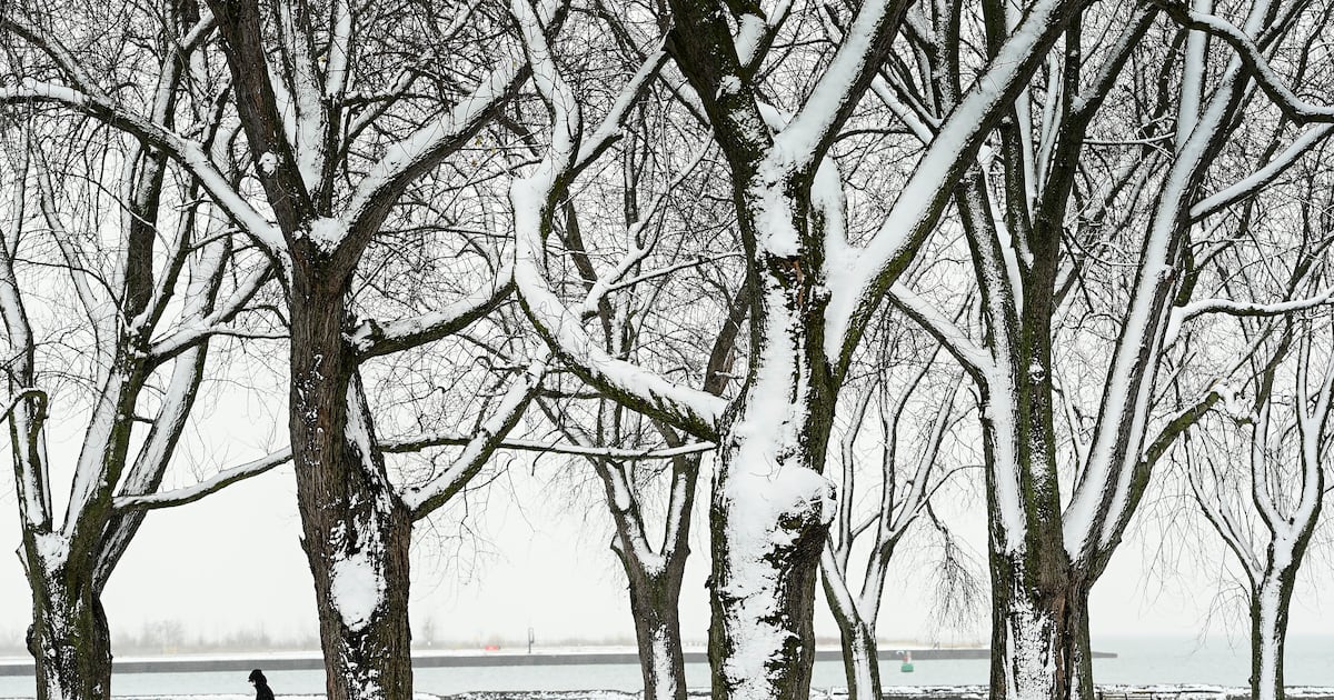 Temperature will feel like -24 today as deep freeze continues