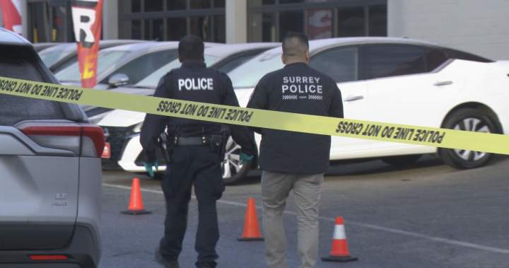 RCMP head of B.C. Extortion Task Force sorry for challenging term ‘crisis’