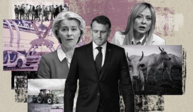 The winners and losers – POLITICO