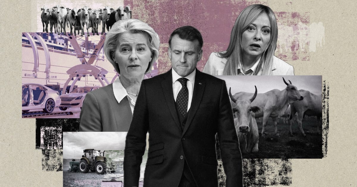 The winners and losers – POLITICO