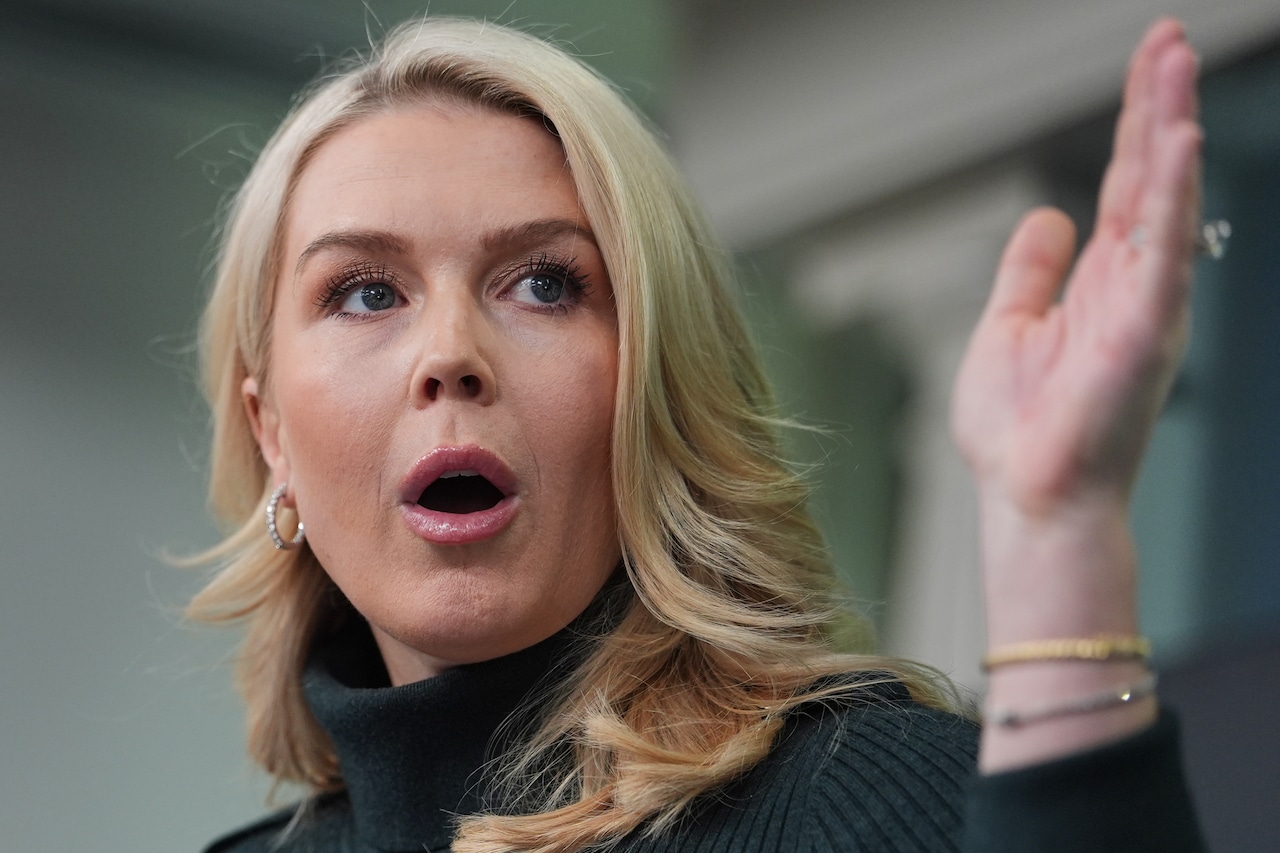 Marco Rubio defends Trump's 'verbal stumbles' over Greenland blunder