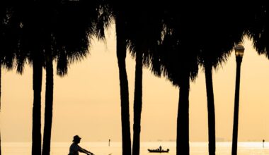 What Canada’s snowbirds are saying about travel to the U.S. this year - CTV News