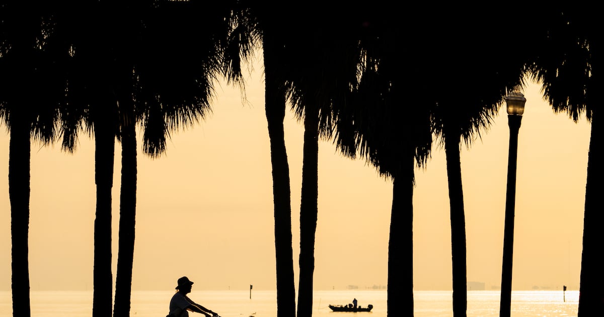 What Canada’s snowbirds are saying about travel to the U.S. this year - CTV News