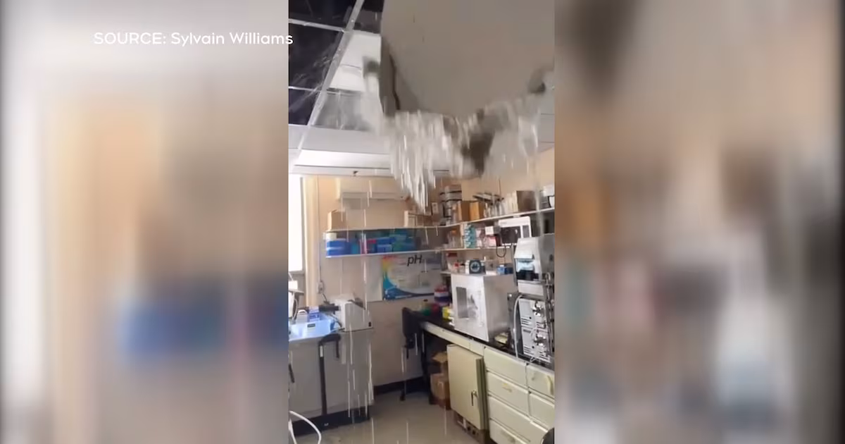 Pipes burst at Montreal’s Douglas Hospital, sending torrent of water onto lab equipment - CTV News