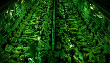 Army readies 1,500 soldiers for possible Minnesota deployment: sources