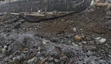 Ocean, safety at risk as wind tears apart rancid Newfoundland fish sauce plant: mayor - CTV News