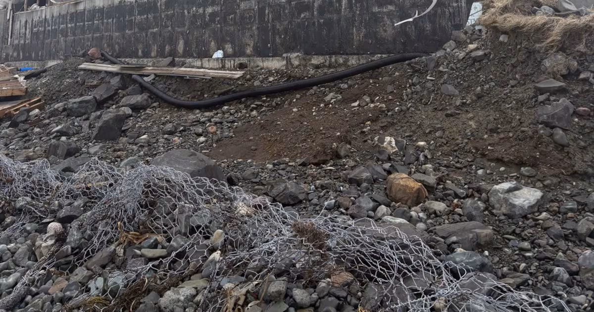 Ocean, safety at risk as wind tears apart rancid Newfoundland fish sauce plant: mayor - CTV News