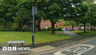 Street view of the entrance to 'Albert St West' as displayed on a white road sign on a street corner. 20 mph speed warnings are painted on the road. Houses, cars, grass verges and trees are in the background.