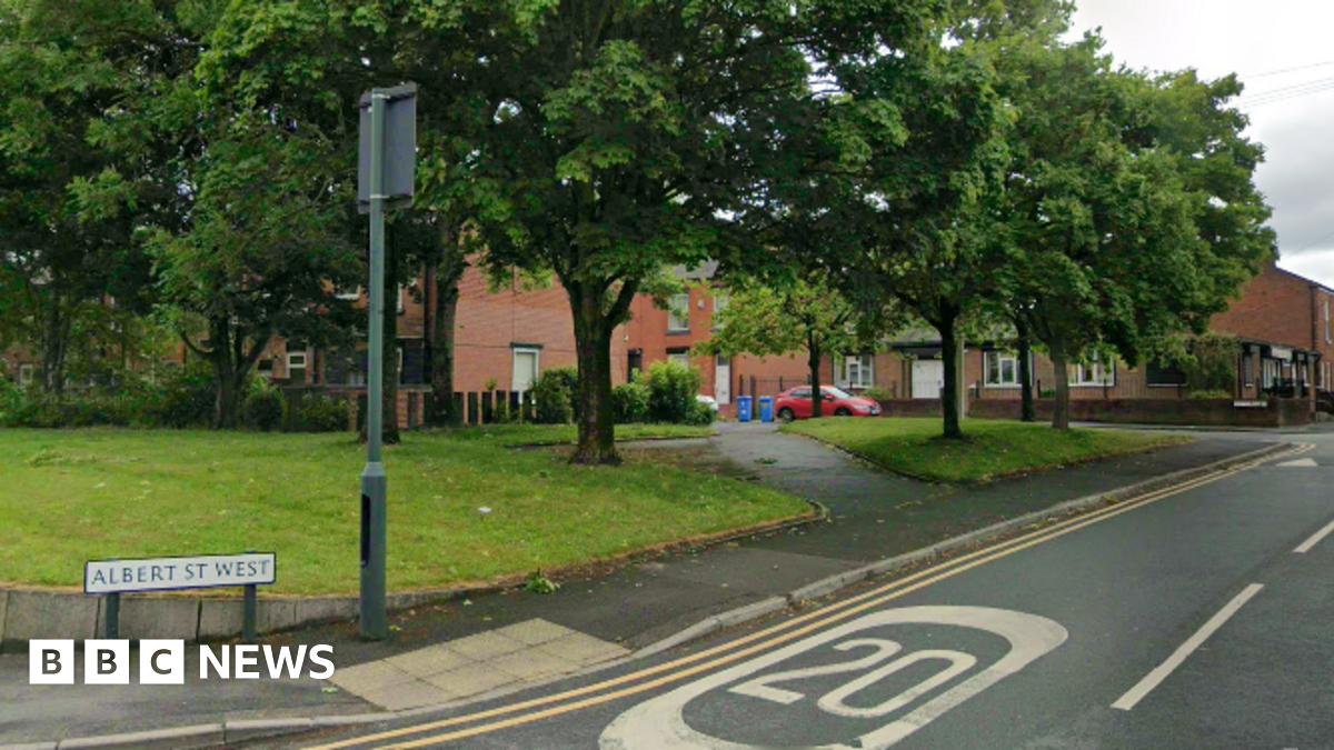 Street view of the entrance to 'Albert St West' as displayed on a white road sign on a street corner. 20 mph speed warnings are painted on the road. Houses, cars, grass verges and trees are in the background.