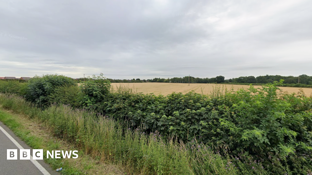 Holly stares to camera. She is in focus with dark, long curly hair and is leaning against a tree-trunk while the background is out of focus but looks like a green field.