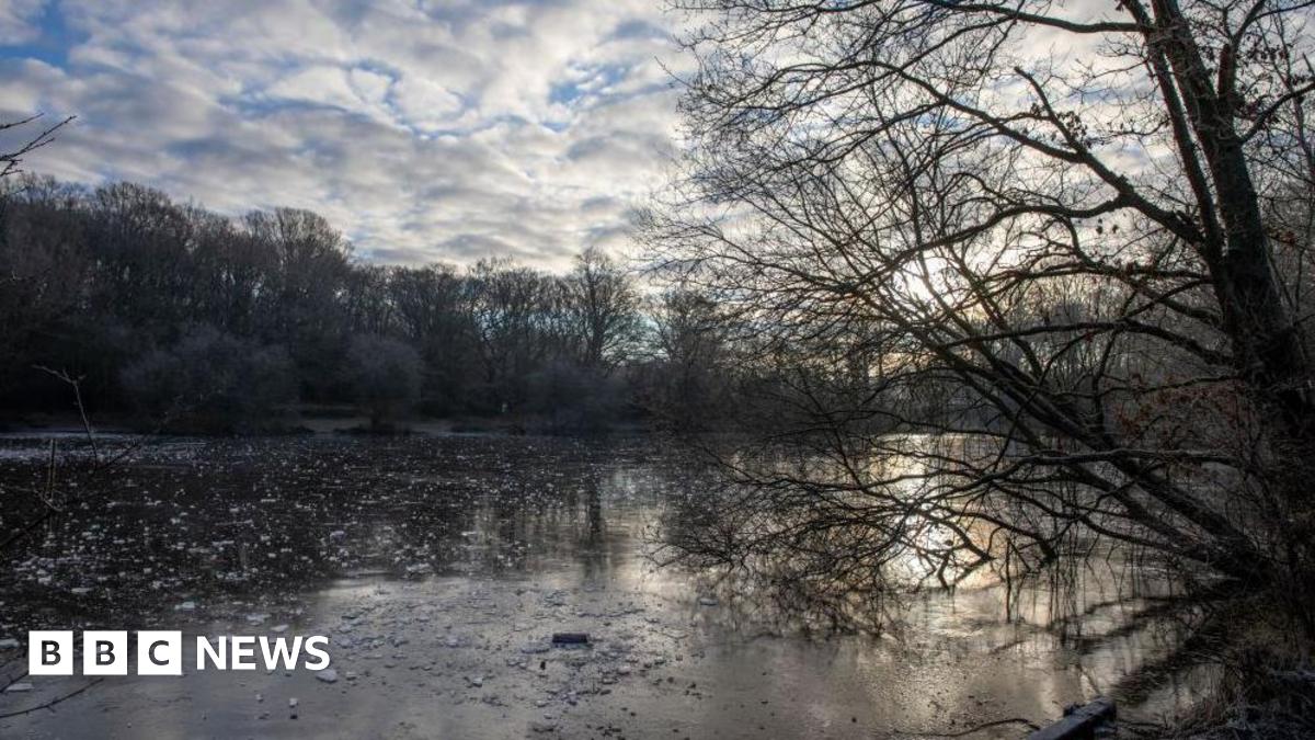 A tree leans over a frozen lake in Epsom, Surrey.