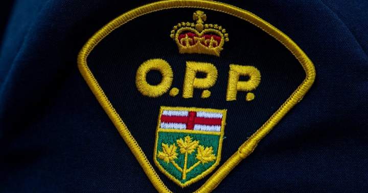 Vehicle launches over snowbank on Ontario highway overpass, driver killed