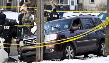 ICE agent shoots and kills woman during Minneapolis immigration raid | News
