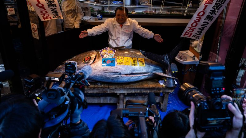 Bluefin tuna fetches record $3.2 million at Japan’s Toyosu market auction