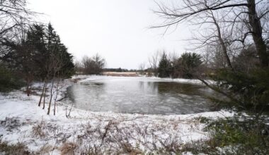 Bonham, Texas: Mom unable to save 3 sons who fell through icy pond