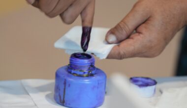 All the big elections to look out for in 2026 | Elections News