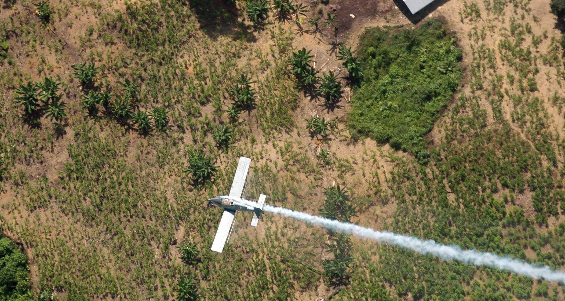 Colombian lawmaker among 15 killed in plane crash near Venezuela | Aviation News