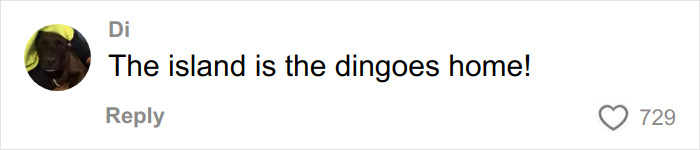 Comment on social media stating The island is the dingoes home, related to autopsy results and Canadian teen found among dingoes.