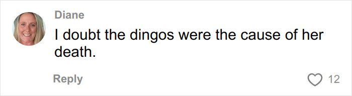 Comment on social media by user Diane expressing doubt that dingoes caused the death in Canadian teen autopsy case.