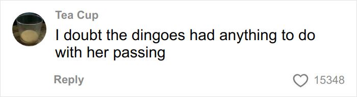 Comment from user Tea Cup expressing doubt that dingoes were involved in the death of the Canadian teen case.