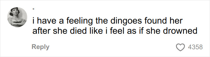 Comment expressing a theory about the Canadian teen’s death, relating to the autopsy results and dingoes.