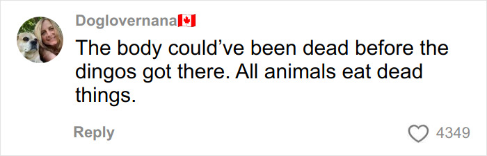 Comment about autopsy results revealing clues in the case of a Canadian teen found among dingoes, with user icon and flag.