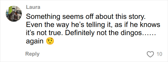 Comment on a social media post expressing doubt about the story involving a Canadian teen and dingoes.