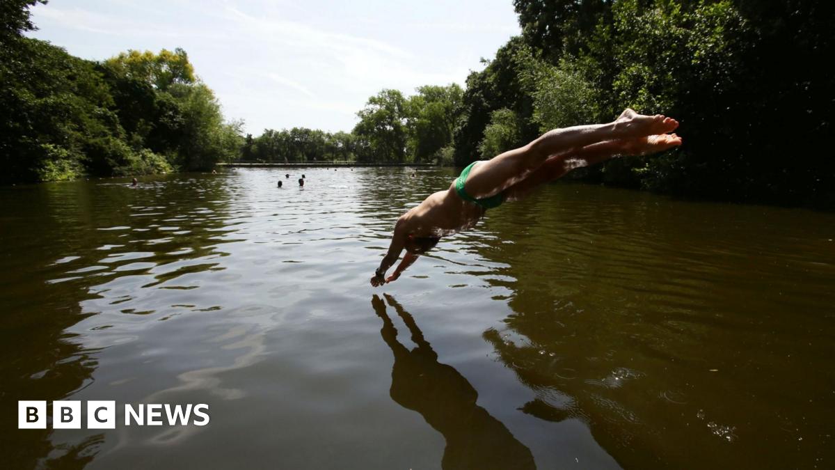 A swimmer dives into the water at the mixed bathing ponds in Hampstead Heath