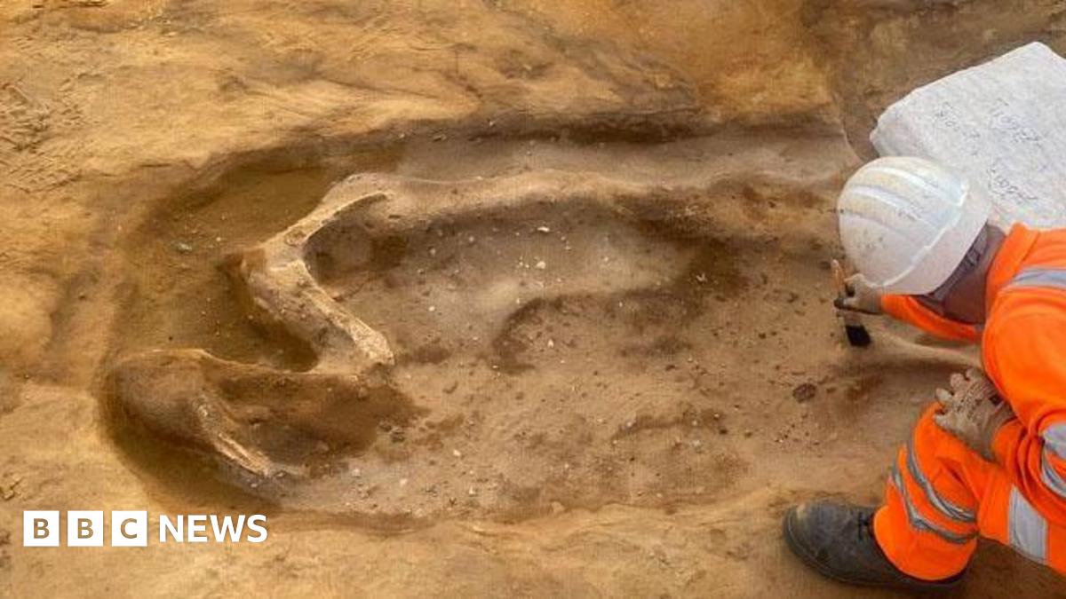 An archaeologist bending over a shadowy shape being brushed out of the sandy soil at at Sizewell C. He is wearing hi-vis orange clothing and a white helmet and the brush is in his right hand. The shadow skeleton of a horse and some bone is raised out of the ground around it, showing its back and hind leg.