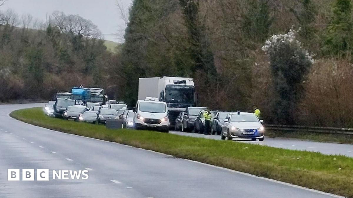 Queueing traffic coming towards the camera on a dual carriageway lined by trees. The near carriageway is empty.