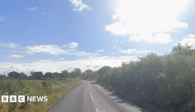 A country road, with tree and grass lining each side.