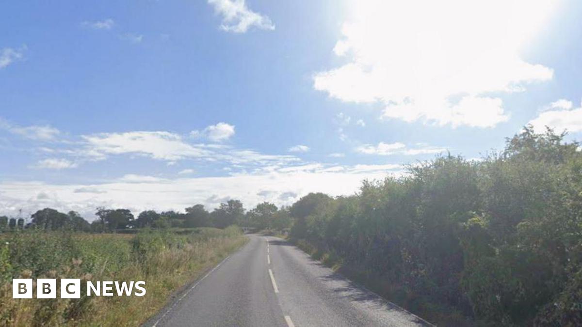 A country road, with tree and grass lining each side.