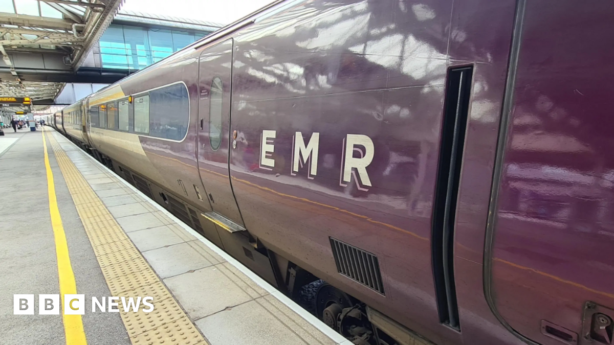 A purple train at a station with the letters EMR on the side