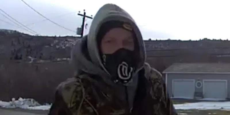 Police Search for ATV-Riding Suspect in Salmon Cove Break and Enter