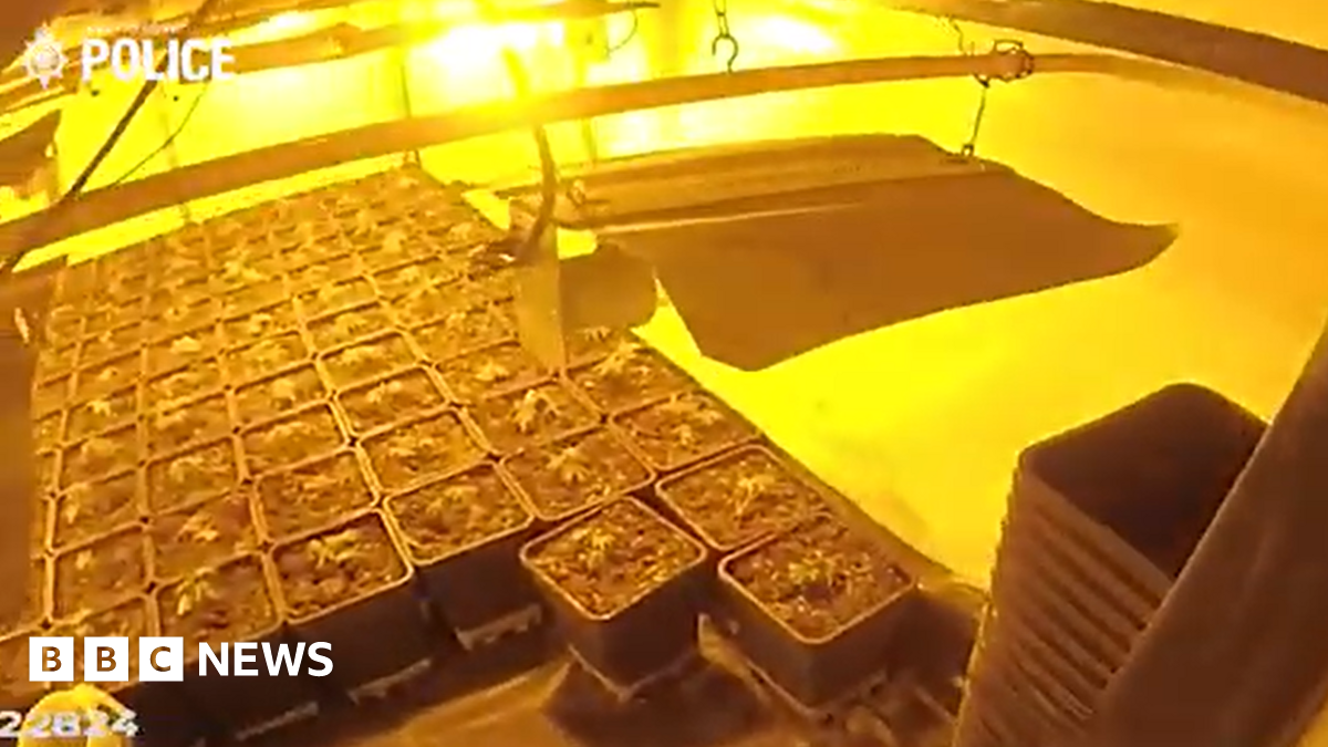 A police issued photograph of large plant pots under bright yellow light.