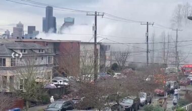 2 cats dead, 2 people injured in Beacon Hill fire